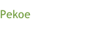 Pekoe
